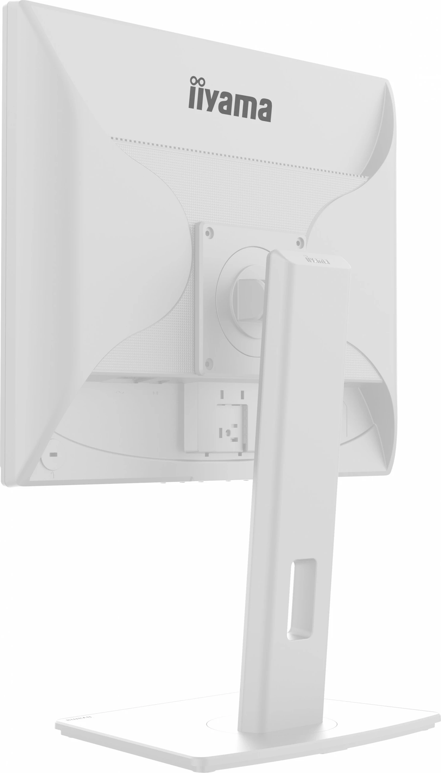 Monitor 19-palčni iiyama ProLite B1980S-W1, LED, 1280 x 1024, bel