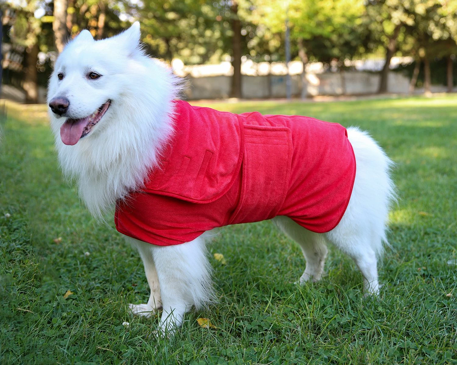 Kopalni plašč za psa, rdeč, Paws & Whiskers Drygown, 2XL