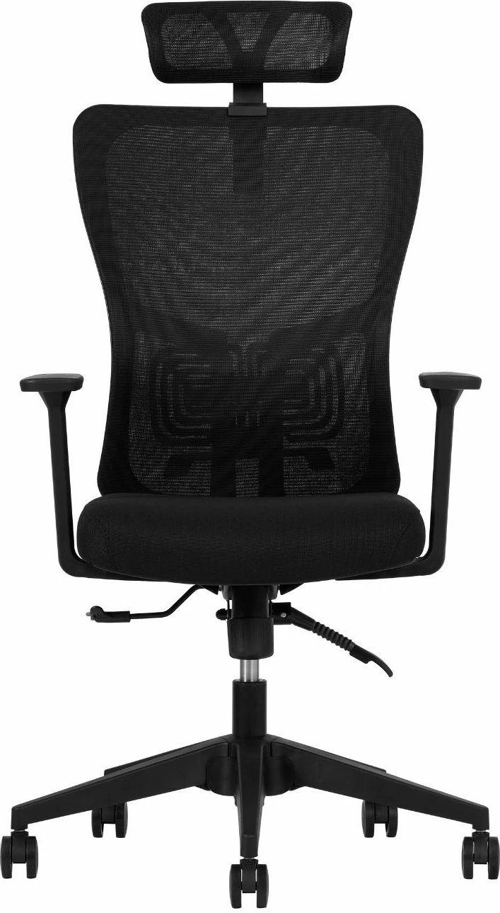 Ergonomski pisarniški stol, črn, Skye Decor, 126 cm