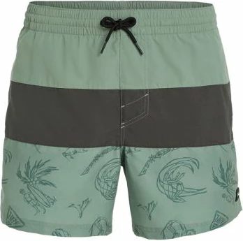 Kopalne hlače, O'Neill, moške, zelene