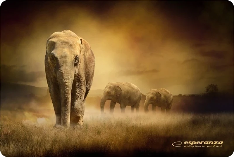 Podloga za miško Esperanza EA133