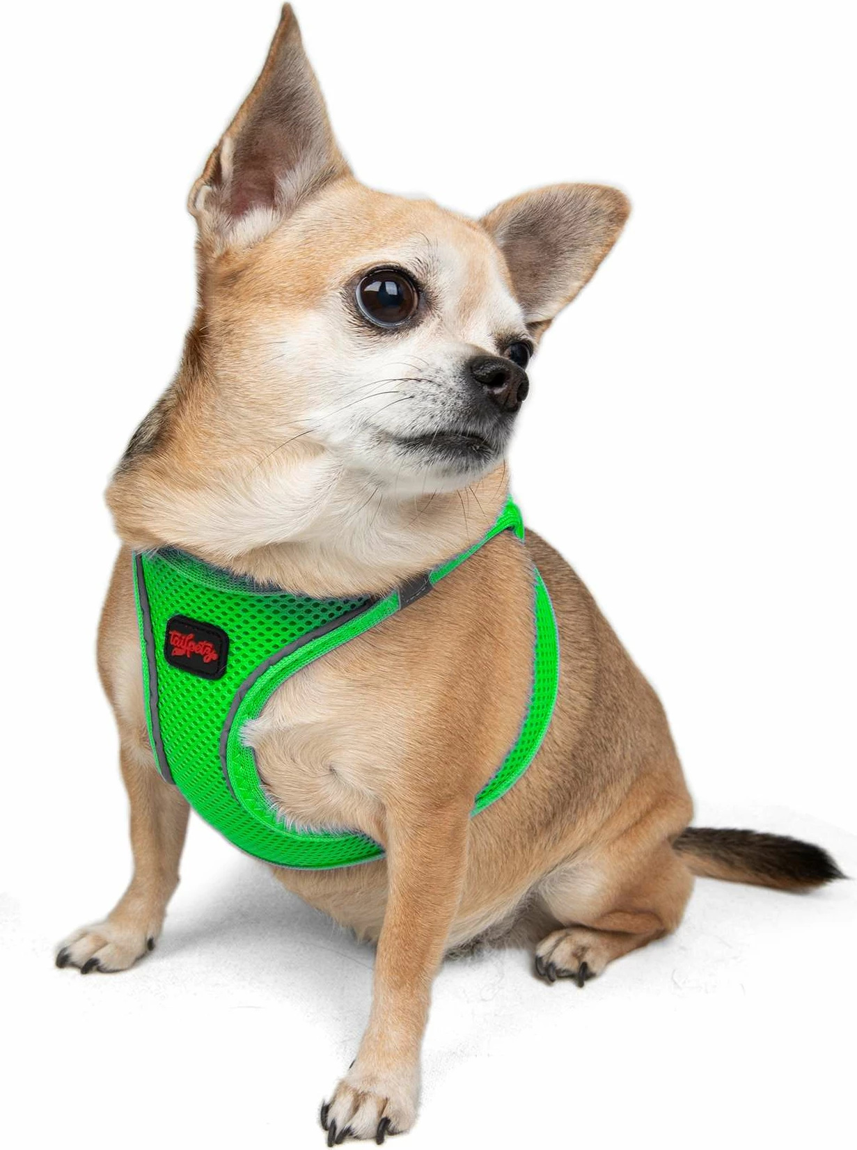 Oprsnica za psa Air-Mesh, Neo Green, Paws & Whiskers
