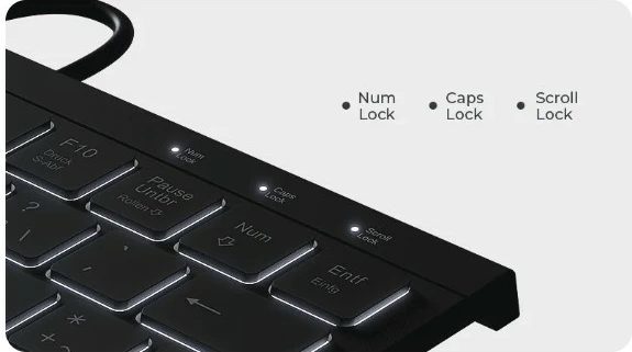 Kompaktna osvetljena tipkovnica KeySonic KSK-5011ELC, QWERTZ, LED, USB, črna