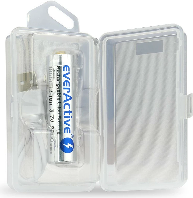 Polnilna Li-ion baterija 18650, 2600 mAh, z micro USB, srebrna, everActive