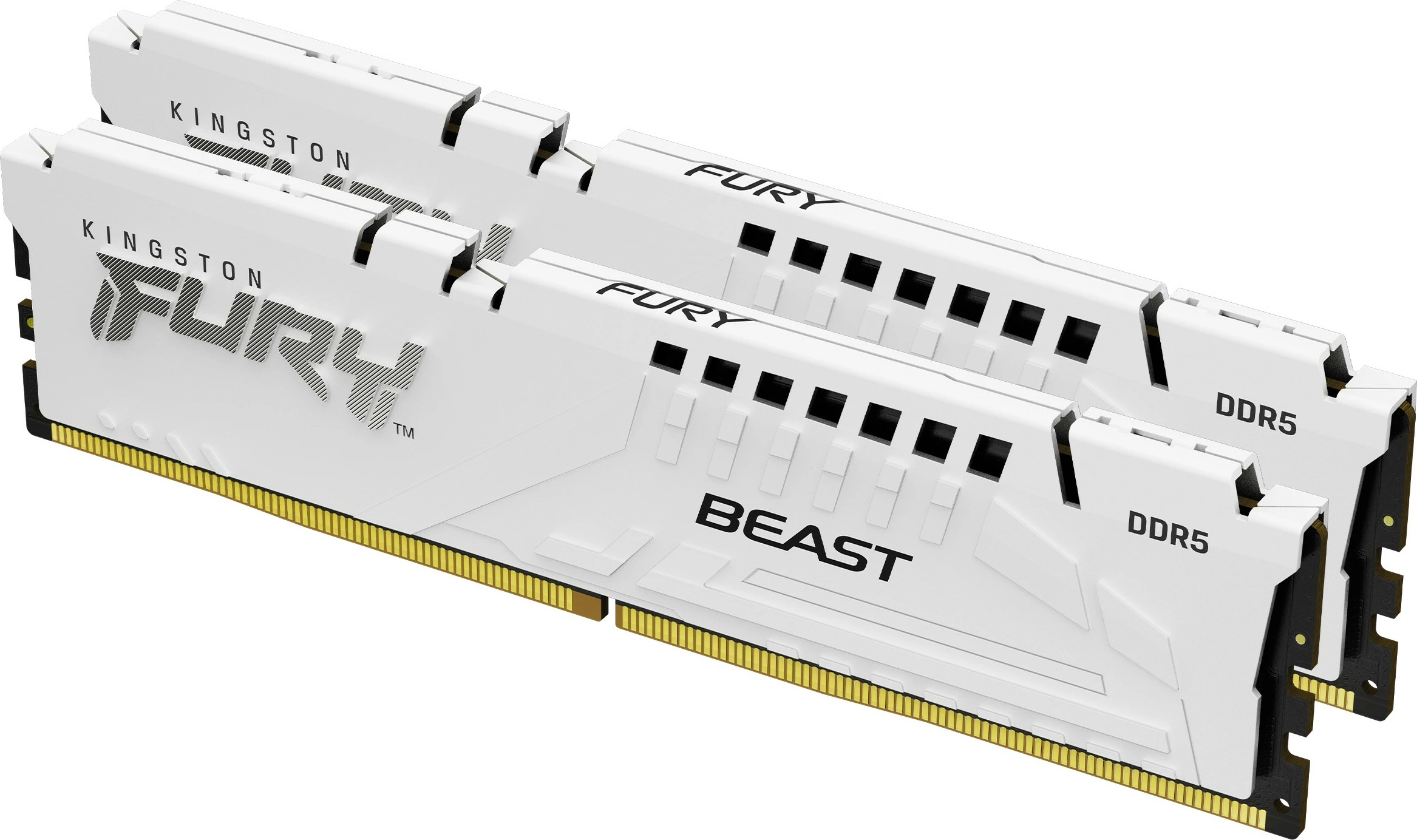 RAM pomnilnik FURY Beast 32GB (2x16GB) DDR5 6000MT/s CL36, Kingston, bel