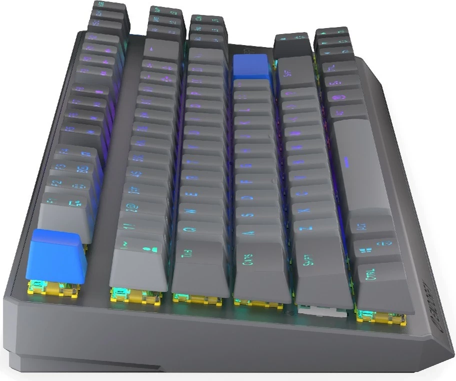 Mehanska brezžična tipkovnica Endorfy Thock V2 TKL, RGB, 87 tipk, siva