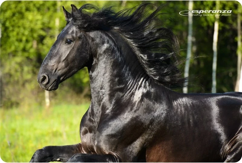 Podloga za miško Esperanza EA133