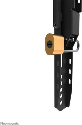Stenski nosilec za TV Neomounts WL30-750BL14 LEVEL-750, do 75", 100 kg, VESA 100x100-400x400, jeklo, črn