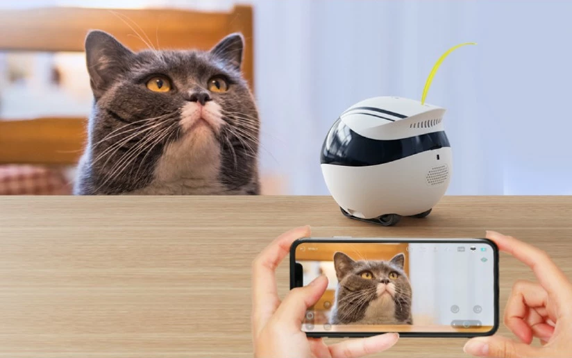 Robot za hišne ljubljenčke Enabot EBO Air, kamera 1080p, sledenje z AI, LiDAR, upravljanje z aplikacijo, bel