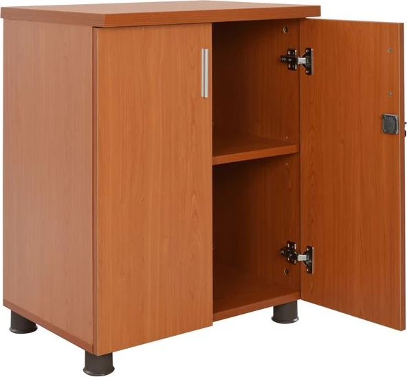 Profesionalna pisarniška omara v barvi češnje FH2050.13 60x46x75 cm