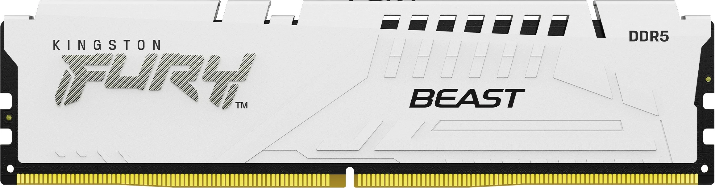 RAM pomnilnik FURY Beast 32GB (2x16GB) DDR5 6000MT/s CL36, Kingston, bel
