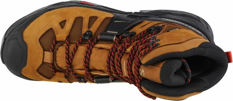 Treking čevlji Salomon Quest 4 GTX, moški, rjavi