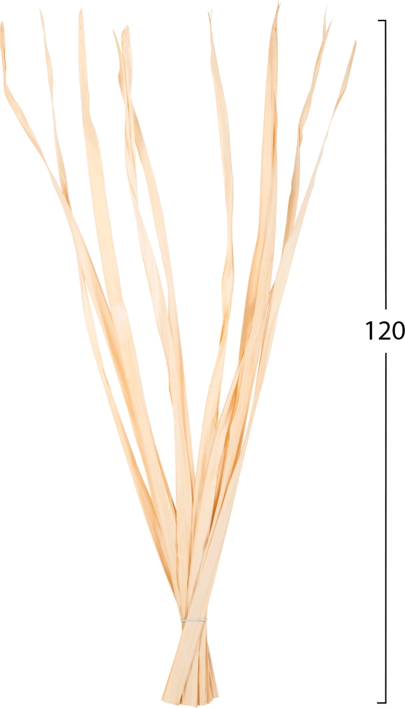 Dekorativni šopek iz posušenih listov meča FH7964 10 kosov naravni 120H cm