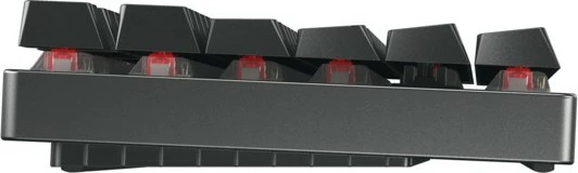 Mekanska tipkovnica Cherry MX 8.2 TKL brezžična RGB, RF + Bluetooth, QWERTZ, črna