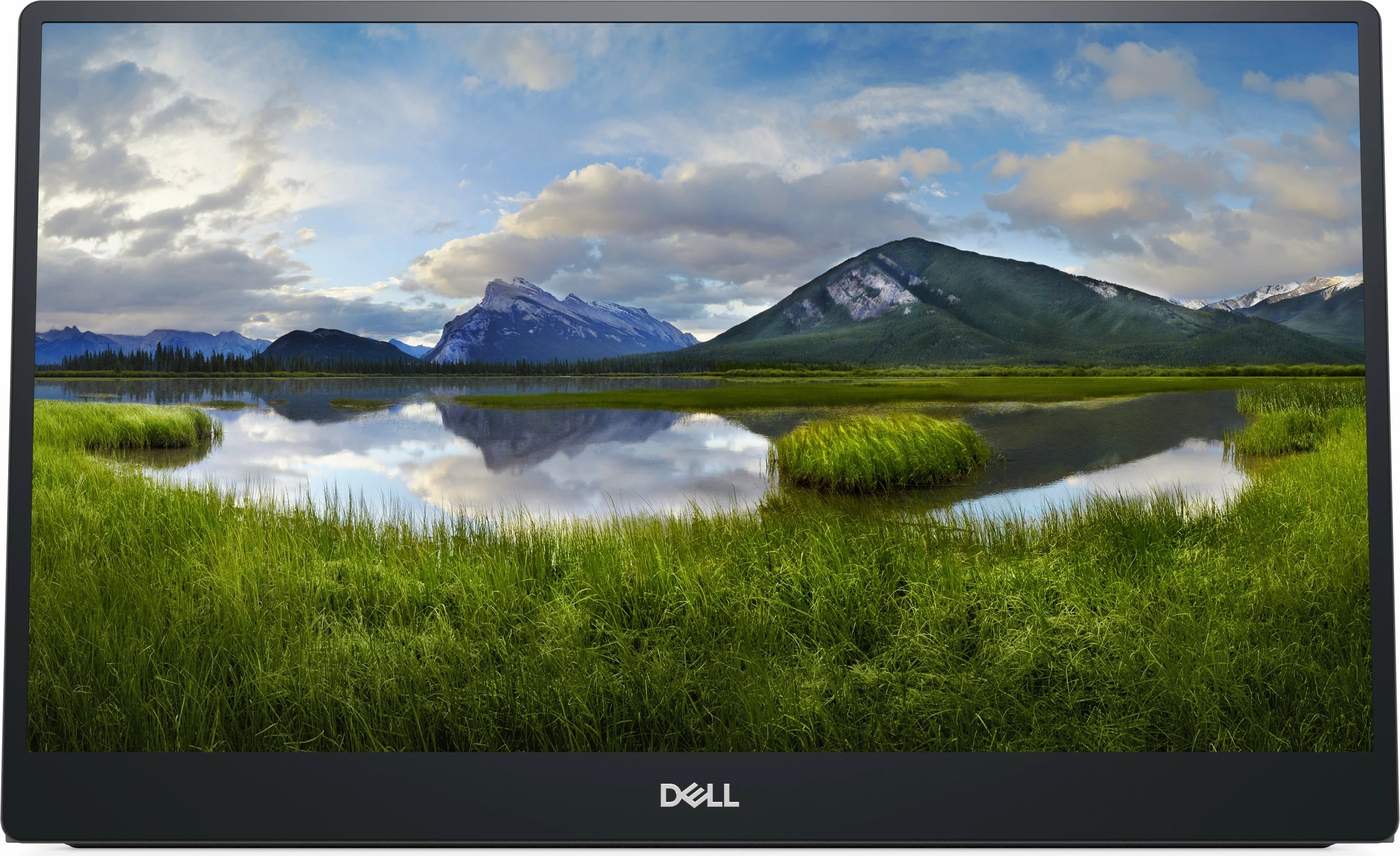 Prenosni 14'' FHD IPS zaslon, Dell P1424H, črn