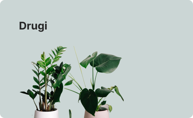 LargeCategories (11)_(6)