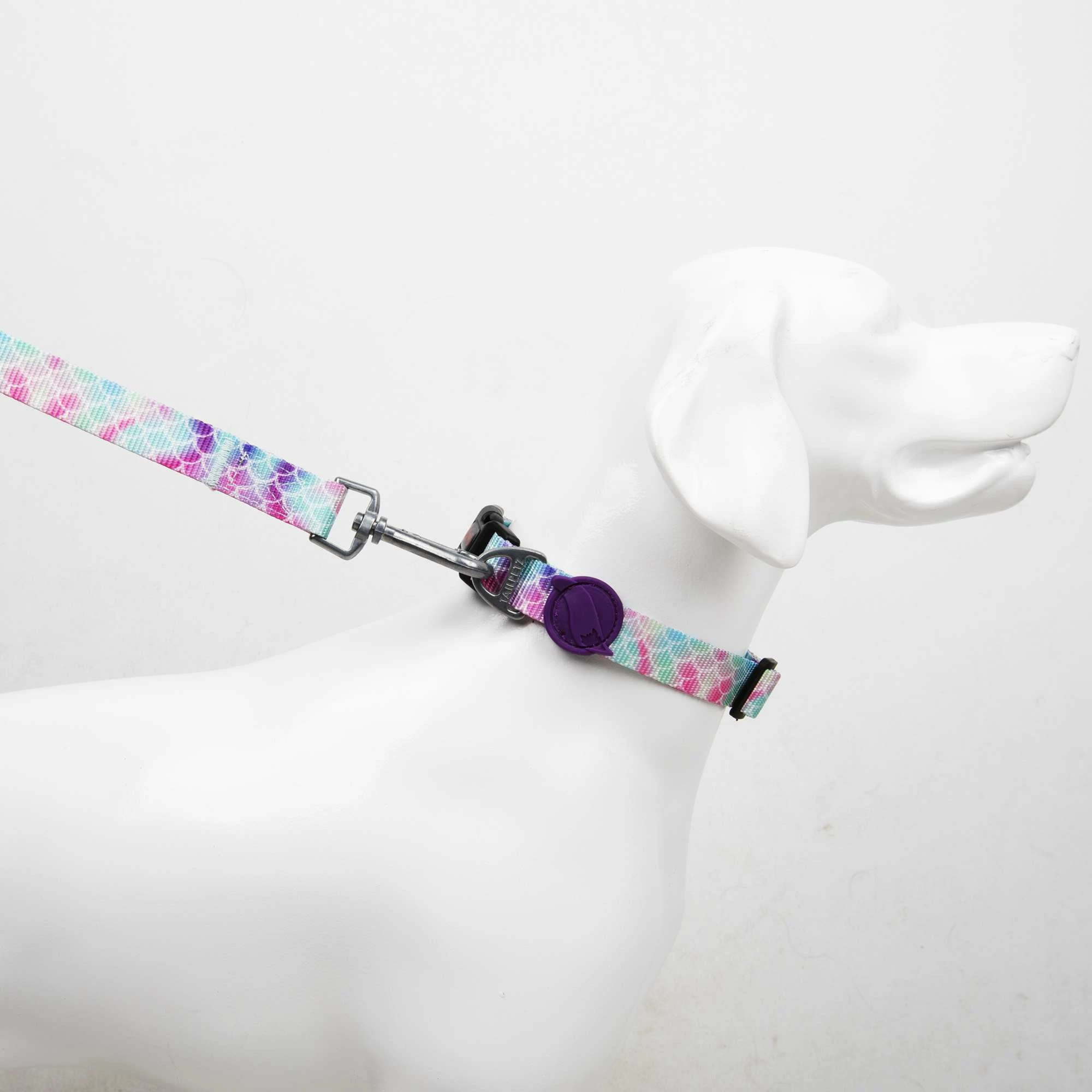 Povodec za psa, Paws & Whiskers Bubles Medium, večbarven, 130 x 2 cm