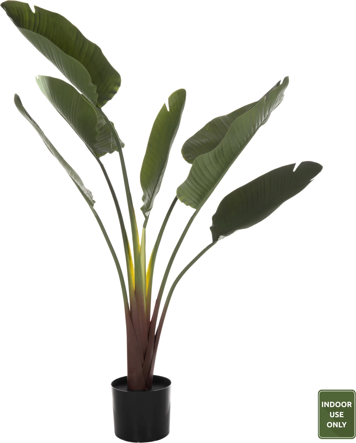 Dekorativna sintetična rastlina v loncu FH7981 Strelitziaceae Φ17x14,5-137Hcm