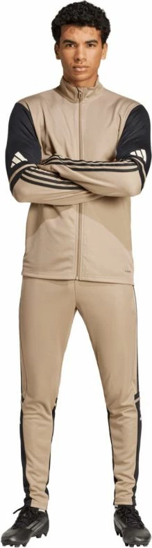 Športne hlače za moške adidas Squadra 25, krem