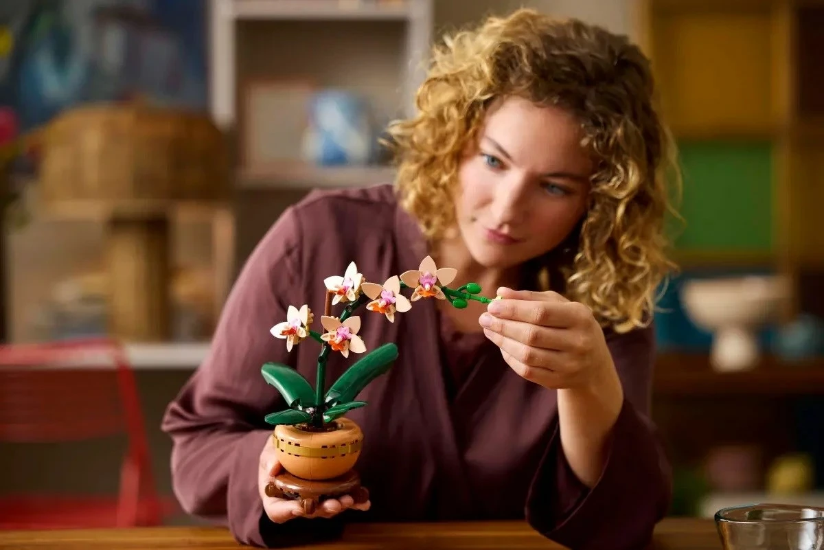 Mini orhideja, LEGO ICONS 10343 The Botanical Collection