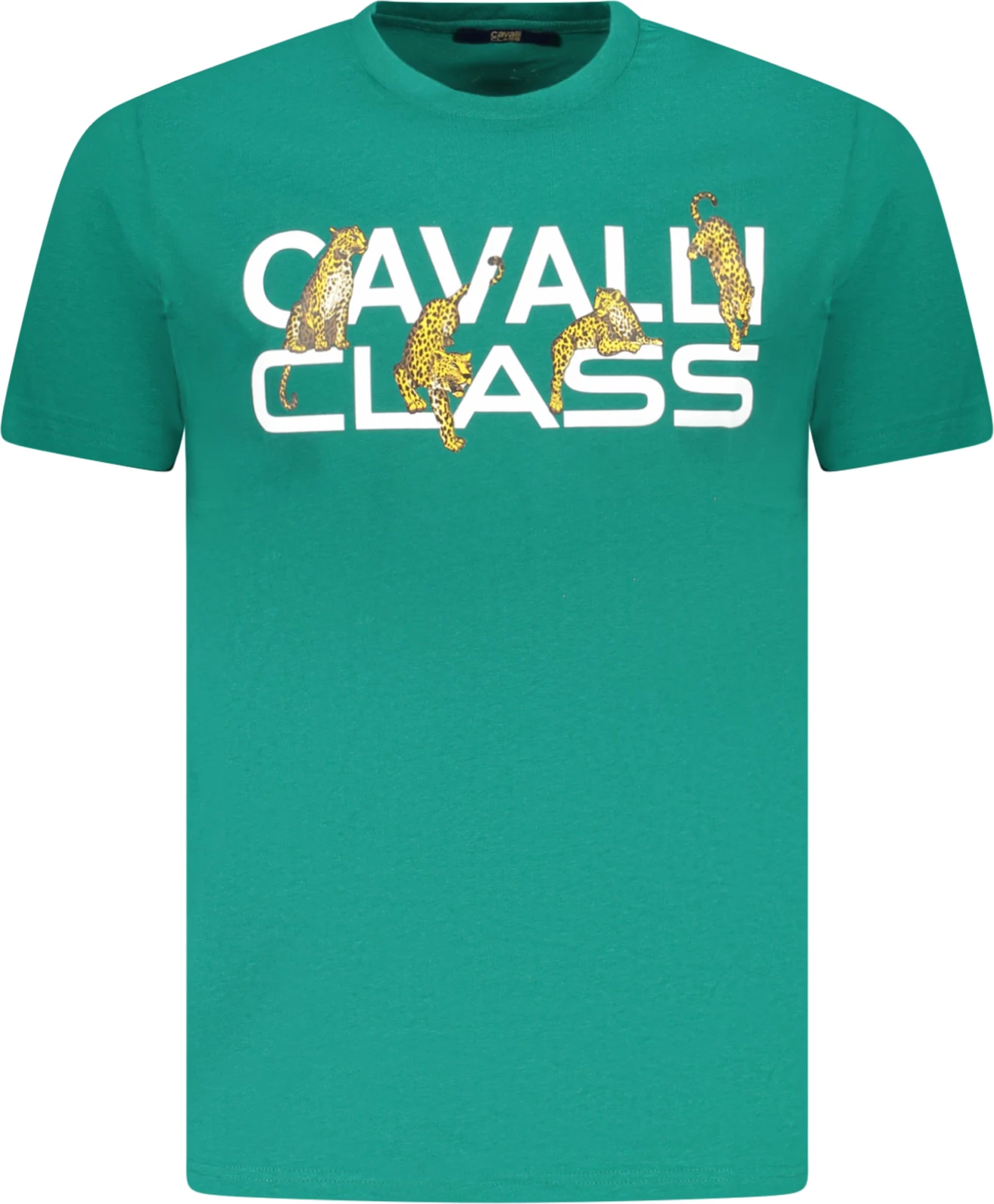 Zelena majica za moške Cavalli Class