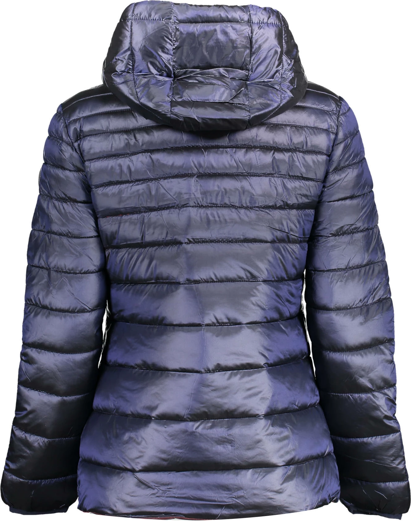 Jakna za ženske U.S. POLO, modra