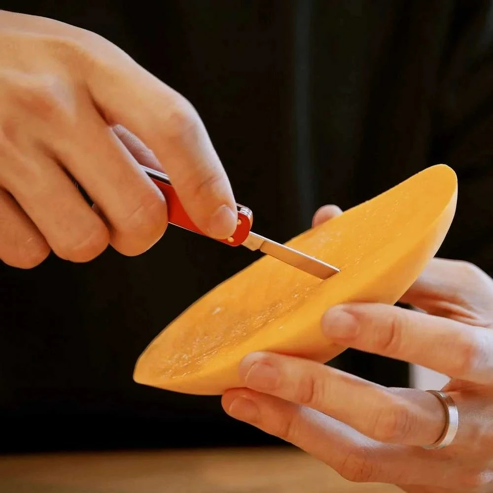 Večfunkcijski nož NexTool NE0142, 4-v-1, rdeč