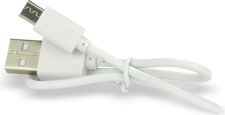 Polnilna baterija 16340 everActive, 700 mAh, 3 V, z Micro USB, 1 kos