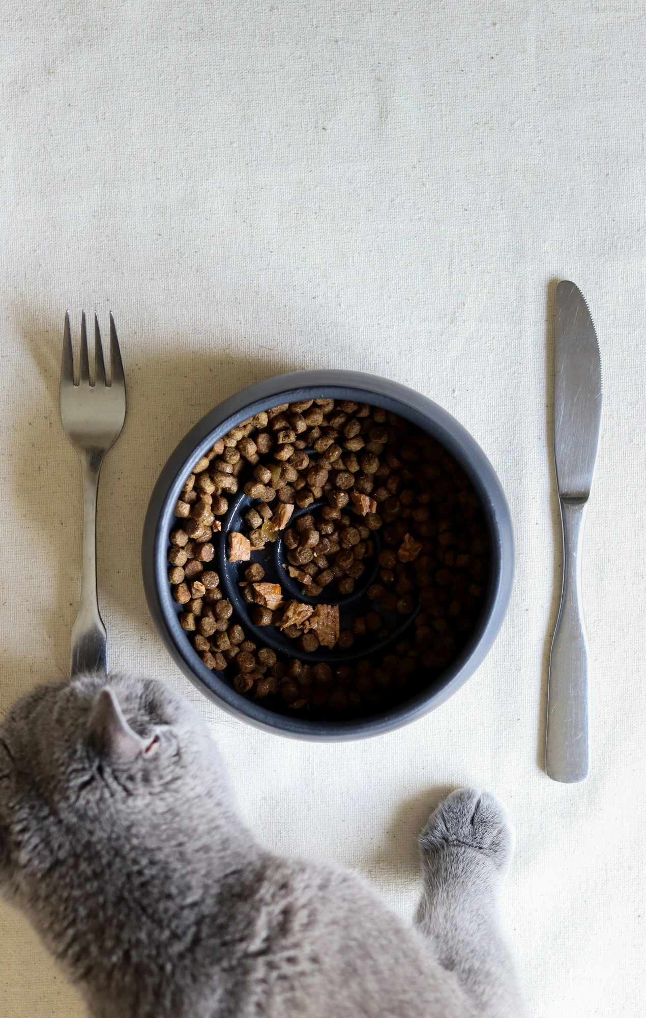 Skleda za hrano za hišne živali, keramična, črna, Evila Originals, BSPT051, 14x6 cm (1 kos)