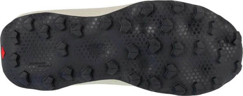 Tekmovalne tekaške atlete Salomon, moške, sive