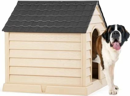 Hiša za hišne ljubljenčke, šampanjec in bitter, Pet House Paws & Whiskers 5101-2