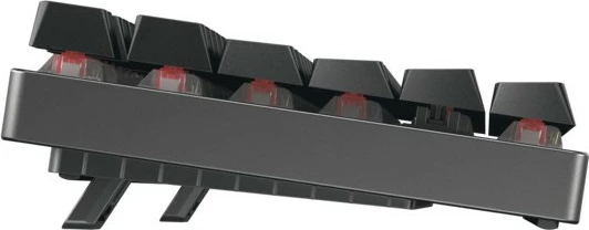 Mekanska tipkovnica Cherry MX 8.2 TKL brezžična RGB, RF + Bluetooth, QWERTZ, črna