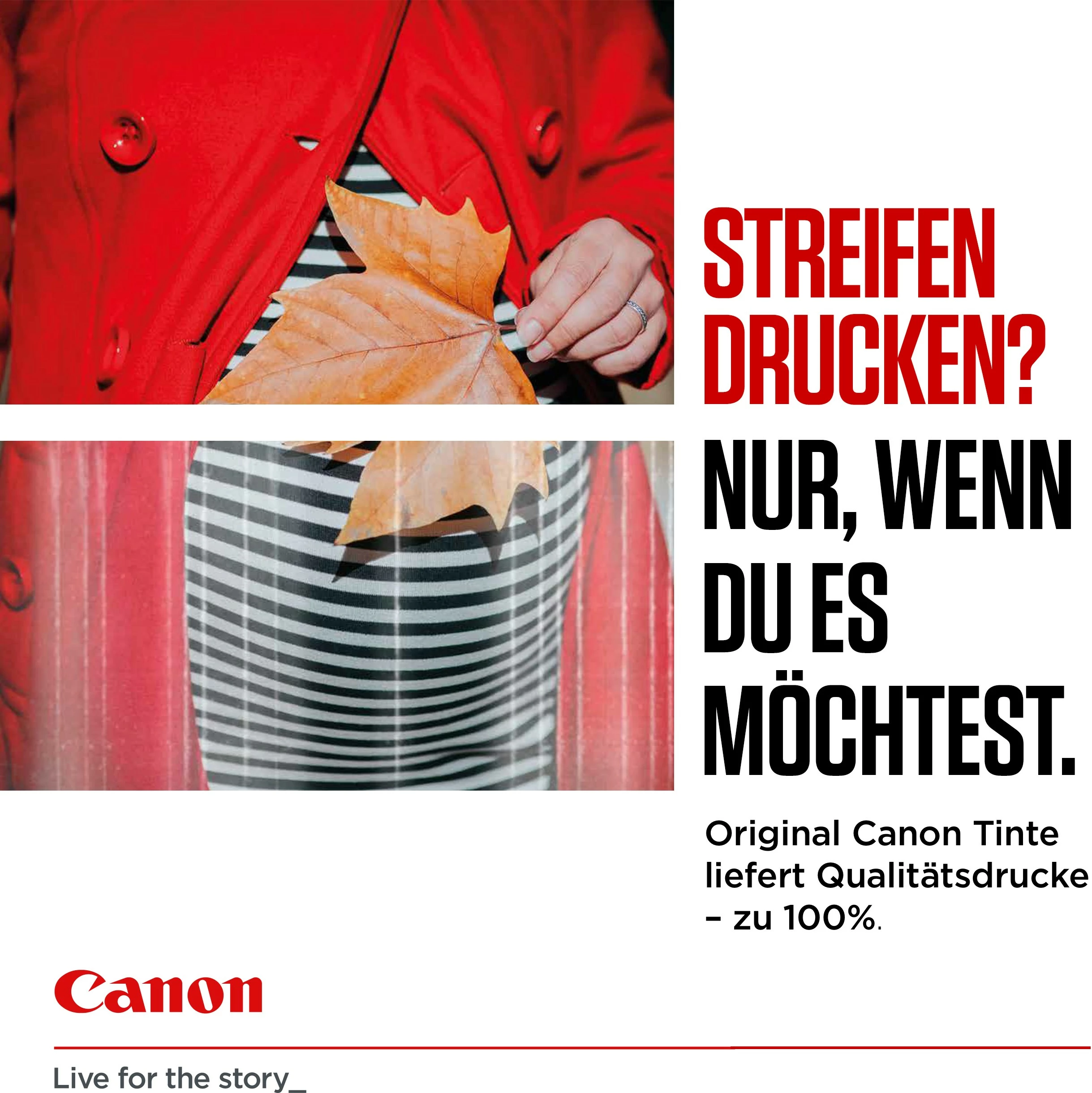 Toner z visoko zmogljivostjo Canon PG-560XL, 14.3 ml, 400 strani, črn