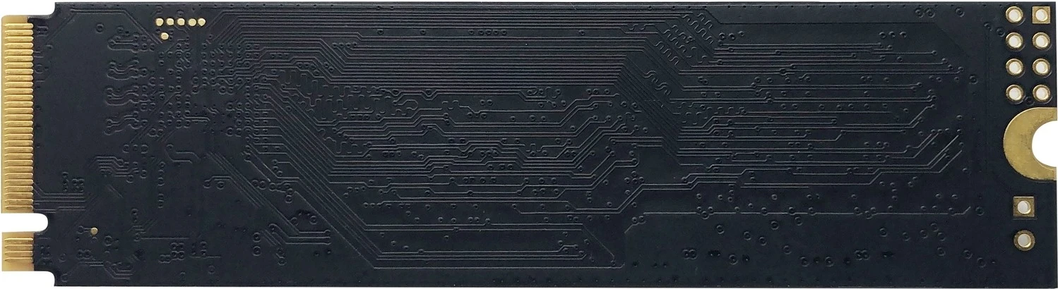 SSD notranji Patriot P300, 256GB
