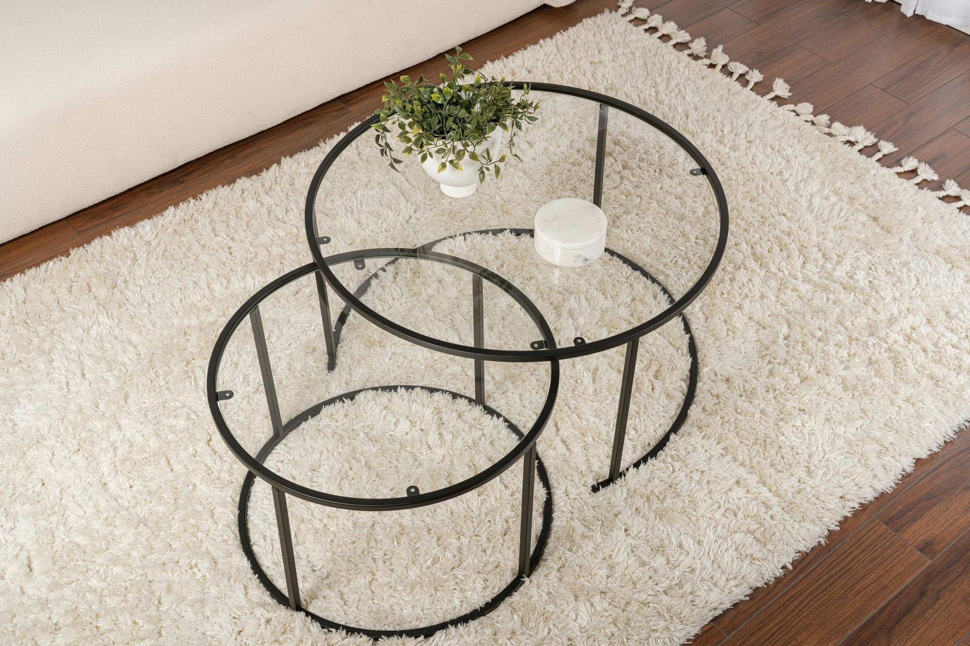 Set mizic za kavo Nordure, Aurum - 80, 60 - črn, prozoren