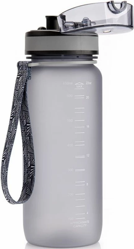 Voda steklenica 650 ml za turizem/na prostem, Meteor, siva/srebrna