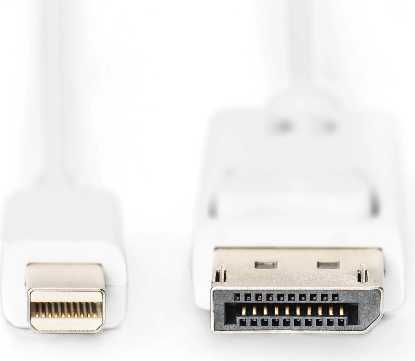 Kabel Mini DisplayPort na DisplayPort Digitus, 2 m, bel