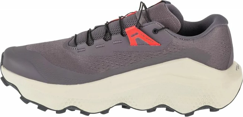 Tekmovalne tekaške atlete Salomon, moške, sive