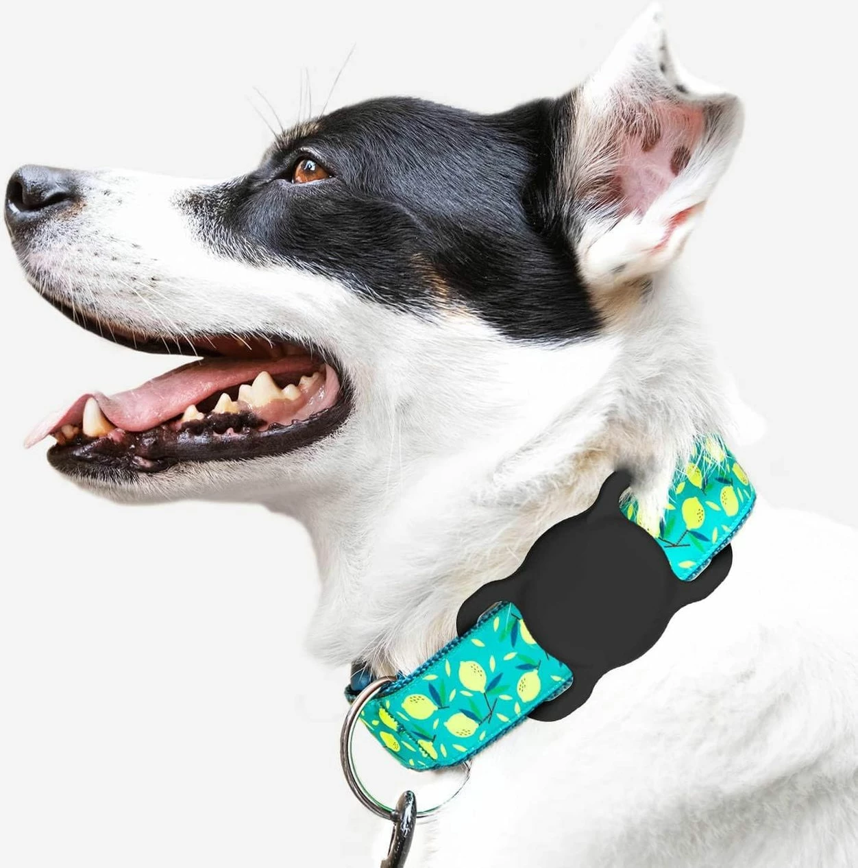 Silikonska zaščita za AirTag, Hurtel — za pasje ali mačje ovratnice, črna