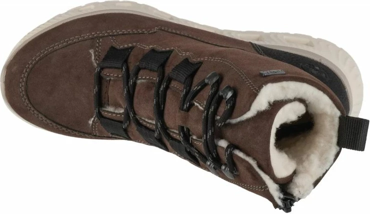 Gozdarske čizme za ženske, Rieker, rjave