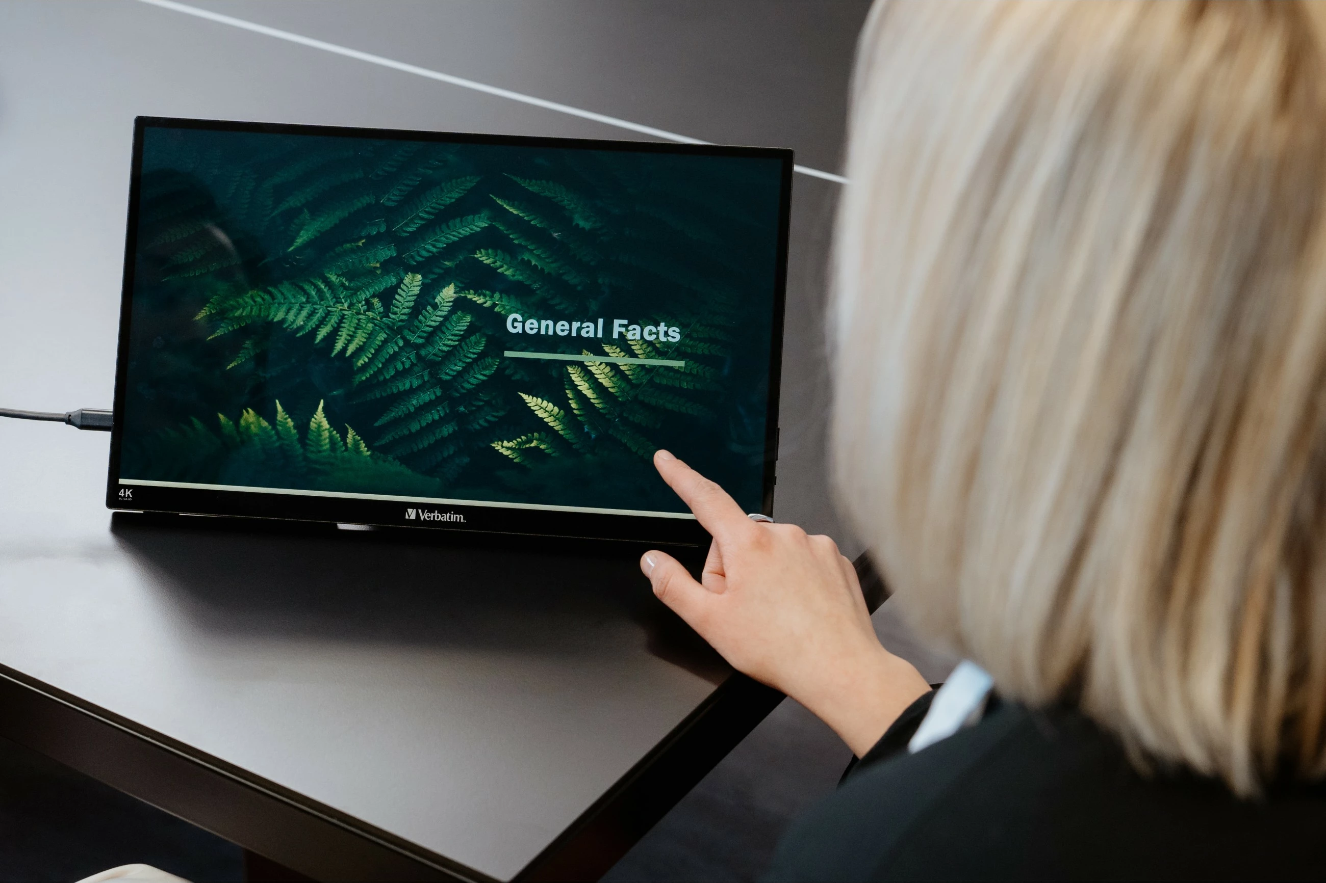 Dotikalen prenosni zaslon 15,6'' 4K Ultra HD, USB-C, HDMI, črn — Verbatim