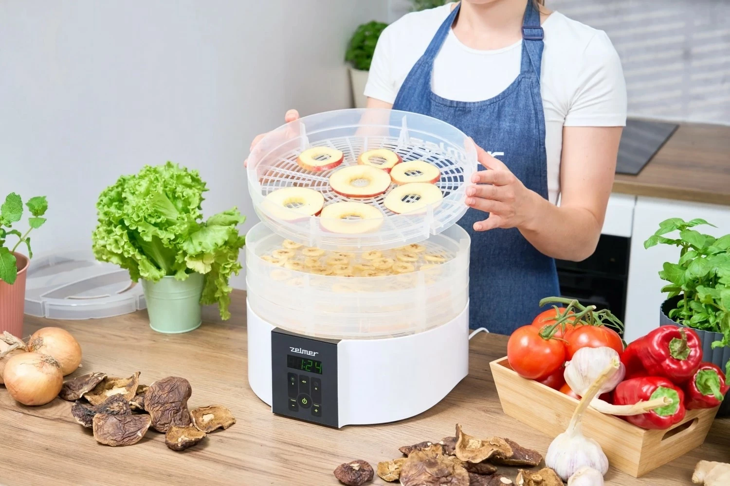 Sušilnik hrane Zelmer ZFD2020, bel