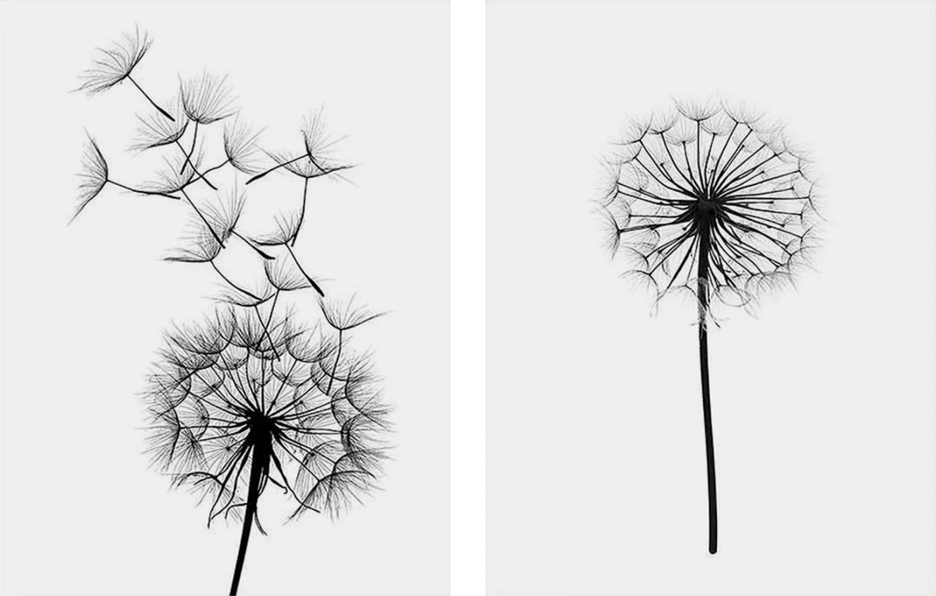 2-delni dekorativni MDF set z motivom regrata FH7203.02, 60x40x2,7 cm