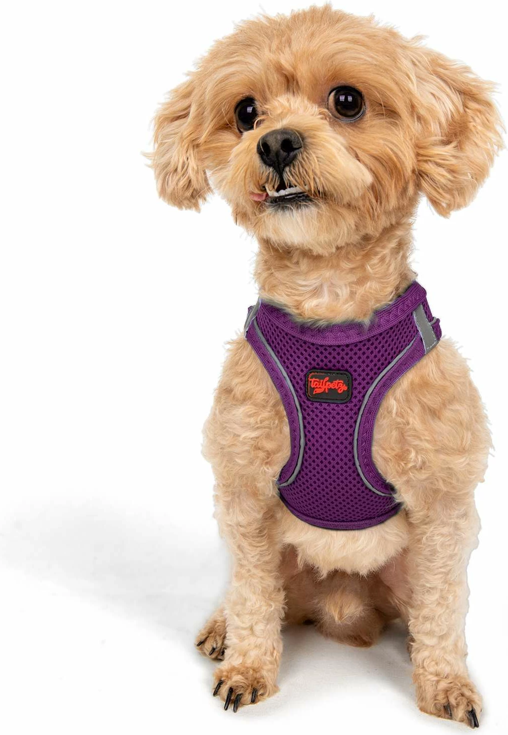 Oprsnica za psa Air-Mesh, vijolična, Paws & Whiskers
