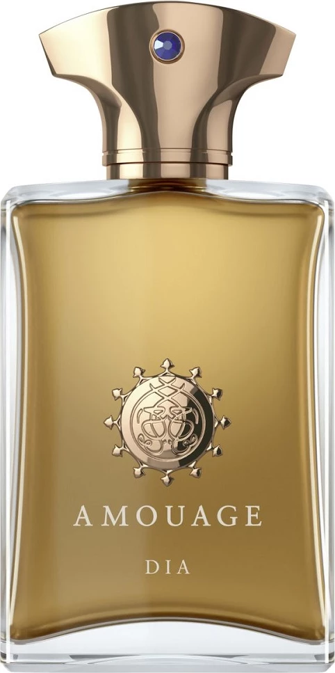 Parfum za moške Amouage Dia Man, 100 ml