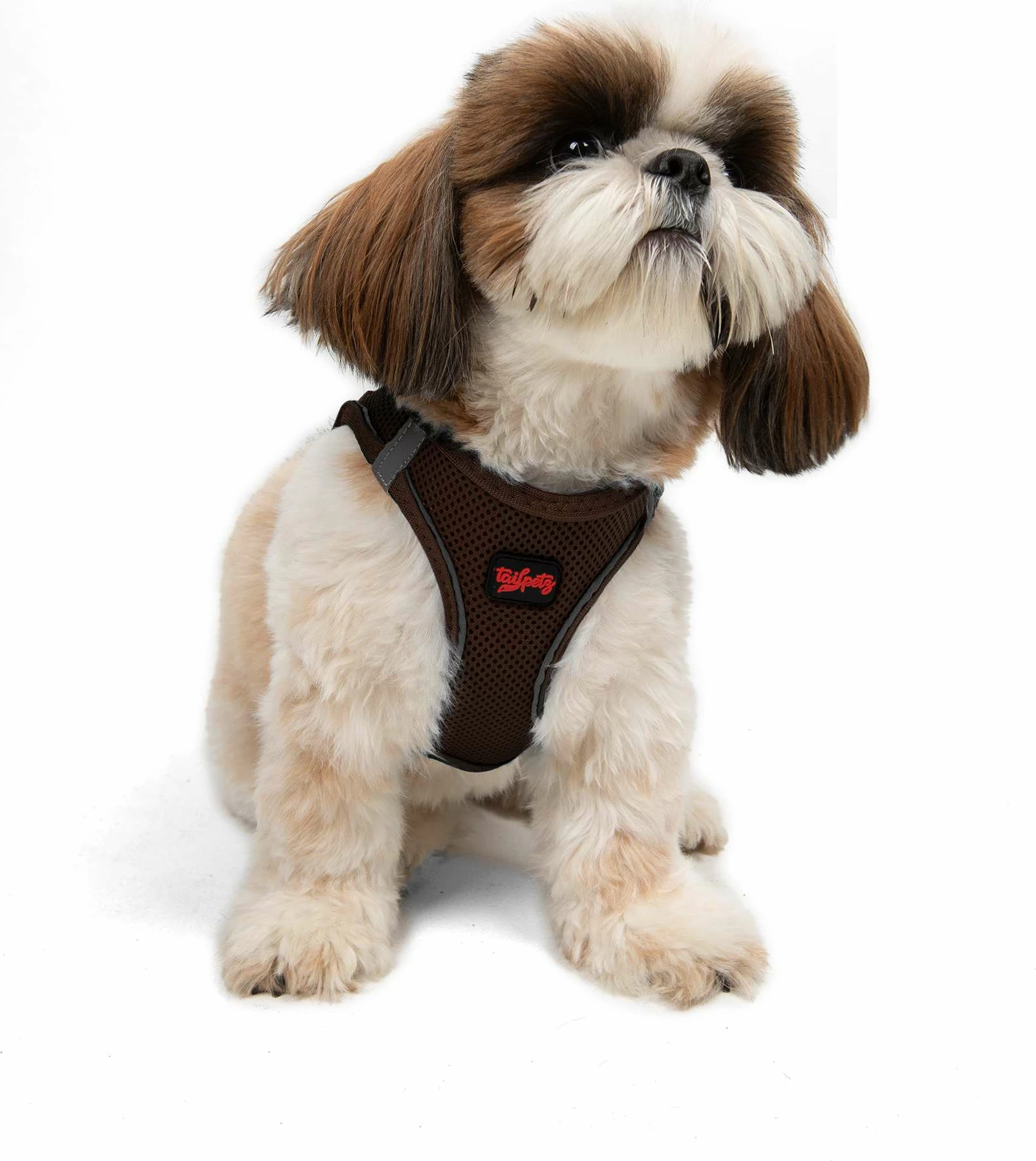 Oprsnica iz air-mesh materiala, rjava, Paws & Whiskers