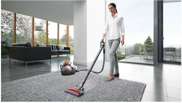 Sesalnik brez vrečke za trda tla in preproge Dyson Big Ball Parquet 2, srebrn