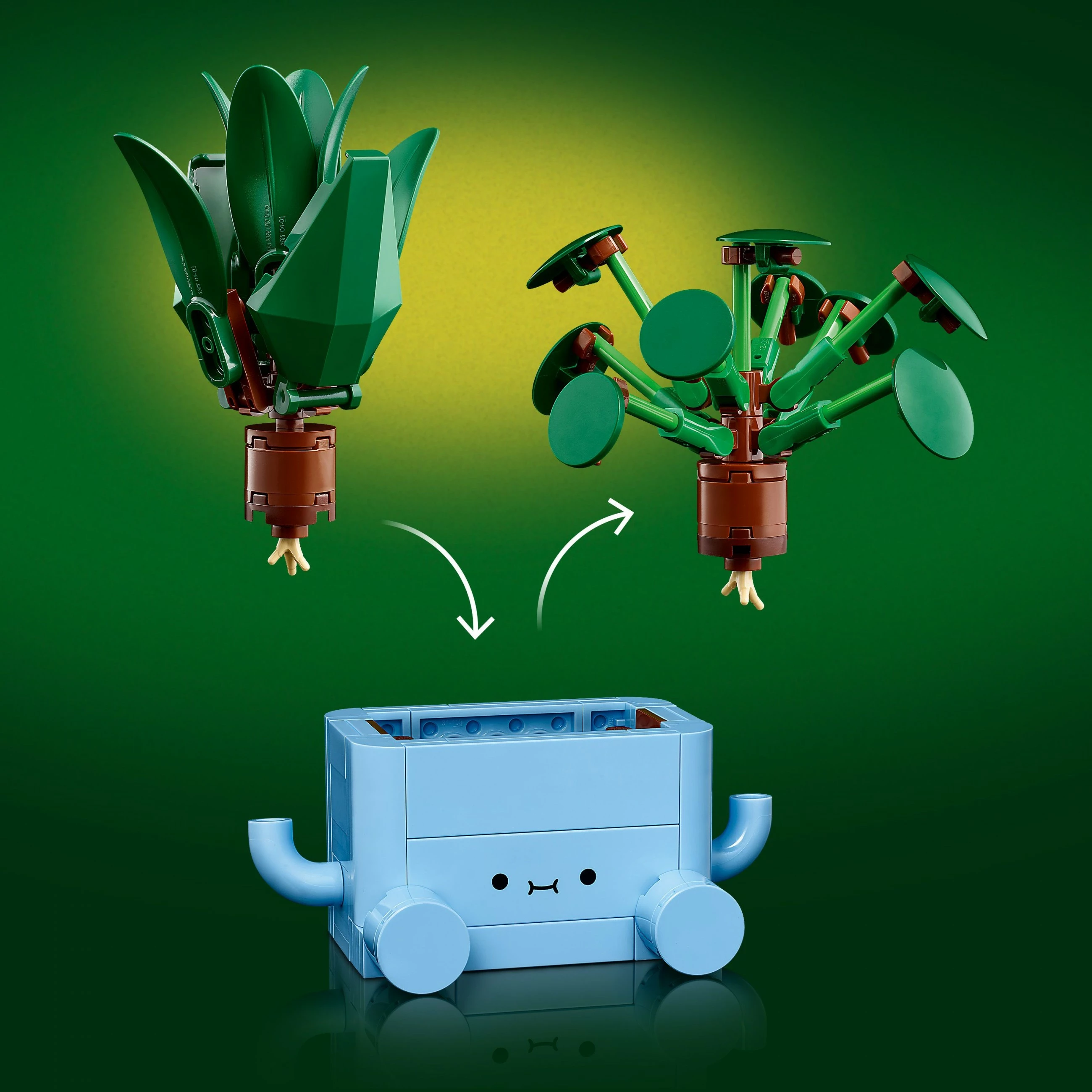 Komplet za sestavljanje dekorativnih rastlin LEGO Botanicals 10349, 217 kosov, večbarven