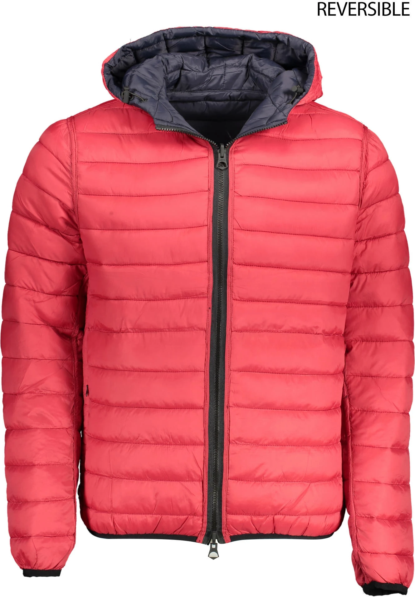 Moška jakna U.S. POLO, modro-rdeča