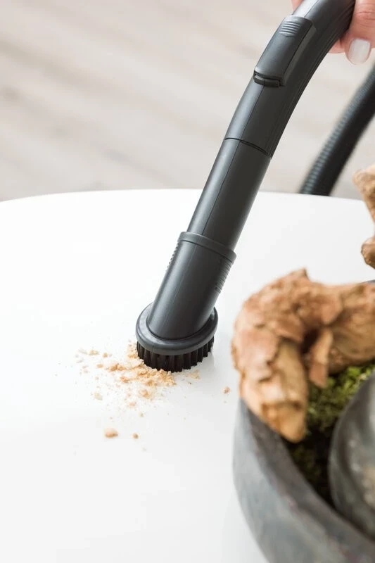 Pastralnik brez vrečke ETA Grande Animal, črn